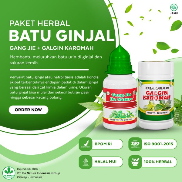 Obat Batu Ginjal De Nature - Image 2