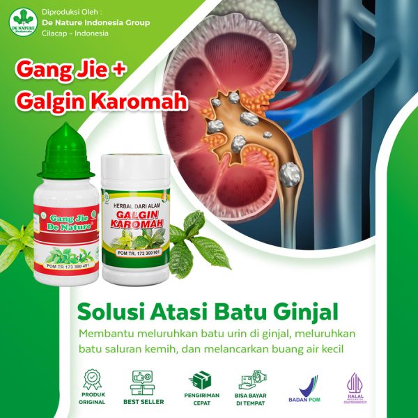 Obat Batu Ginjal De Nature - Image 3