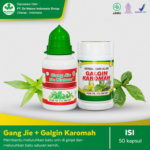 Obat Batu Ginjal De Nature - Image 6