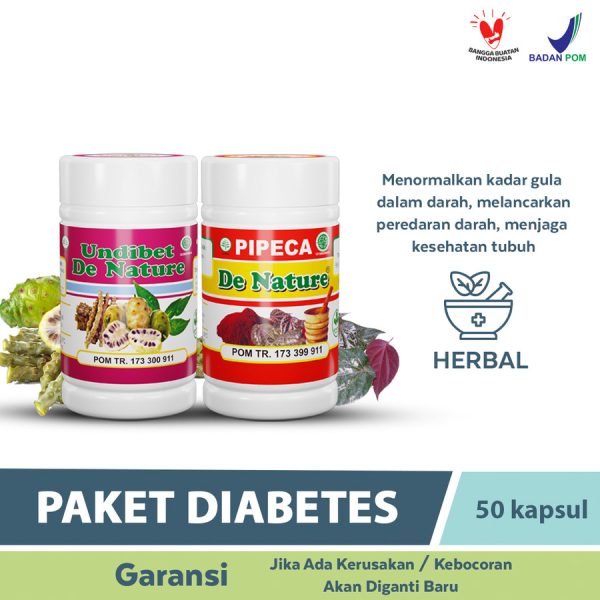 Obat Diabetes De Nature - Image 2