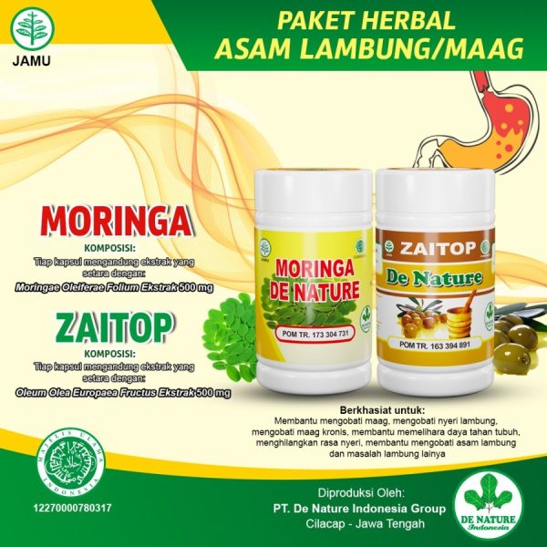 Obat Asam Lambung De Nature - Image 7