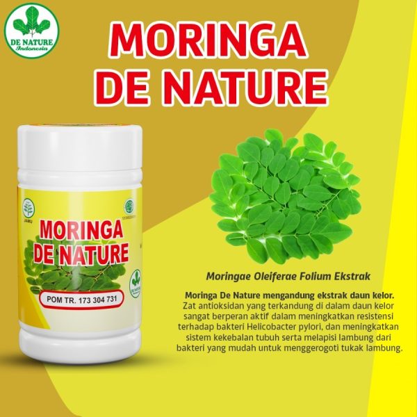Obat Asam Lambung De Nature - Image 5