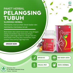 Obat Pelangsing De Nature