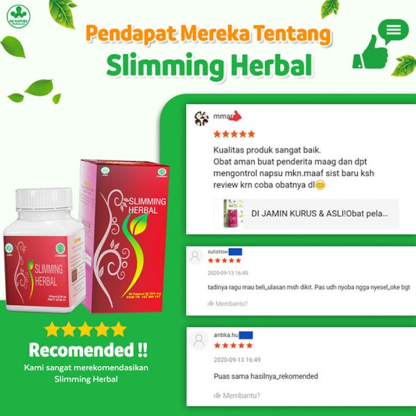 Obat Pelangsing De Nature - Image 2