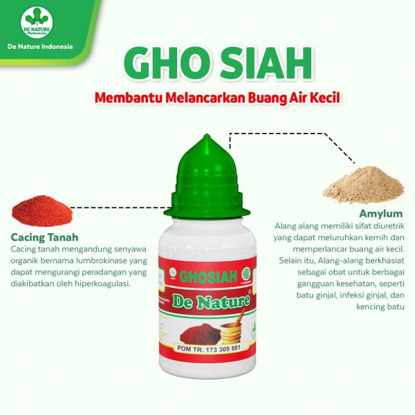 Obat Sipilis Gonore De Nature - Image 2