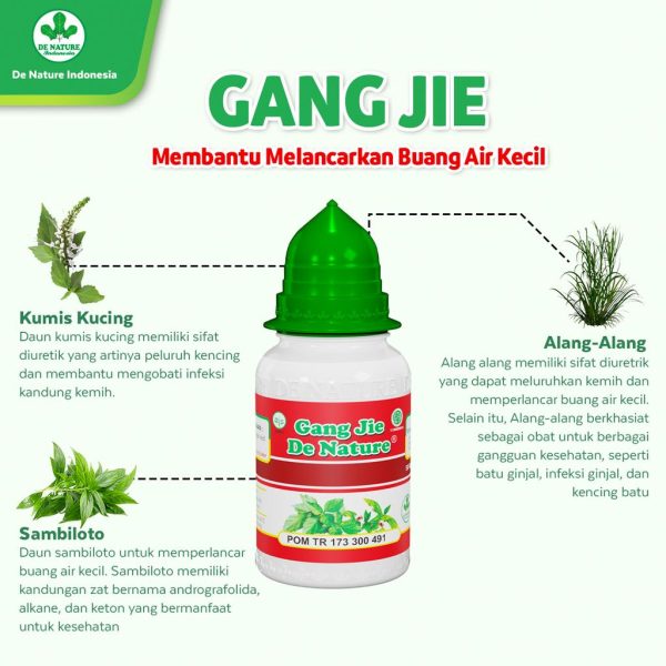 Obat Sipilis Gonore De Nature - Image 3