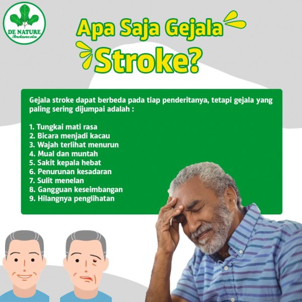 Obat Stroke De Nature - Image 5