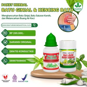 Paket Herbal Batu Ginjal dan Kencing Batu