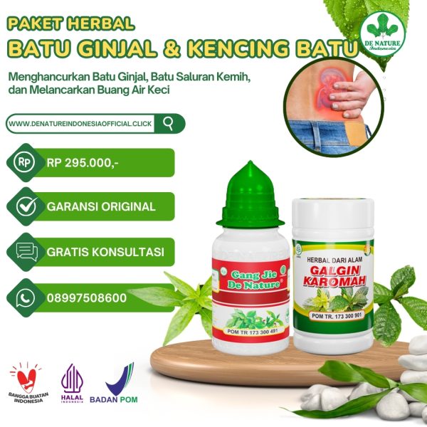 Paket Herbal Batu Ginjal dan Kencing Batu